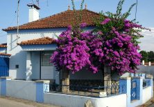 Portugiesen schmücken ihre Häuser gerne mit viel Blumen.